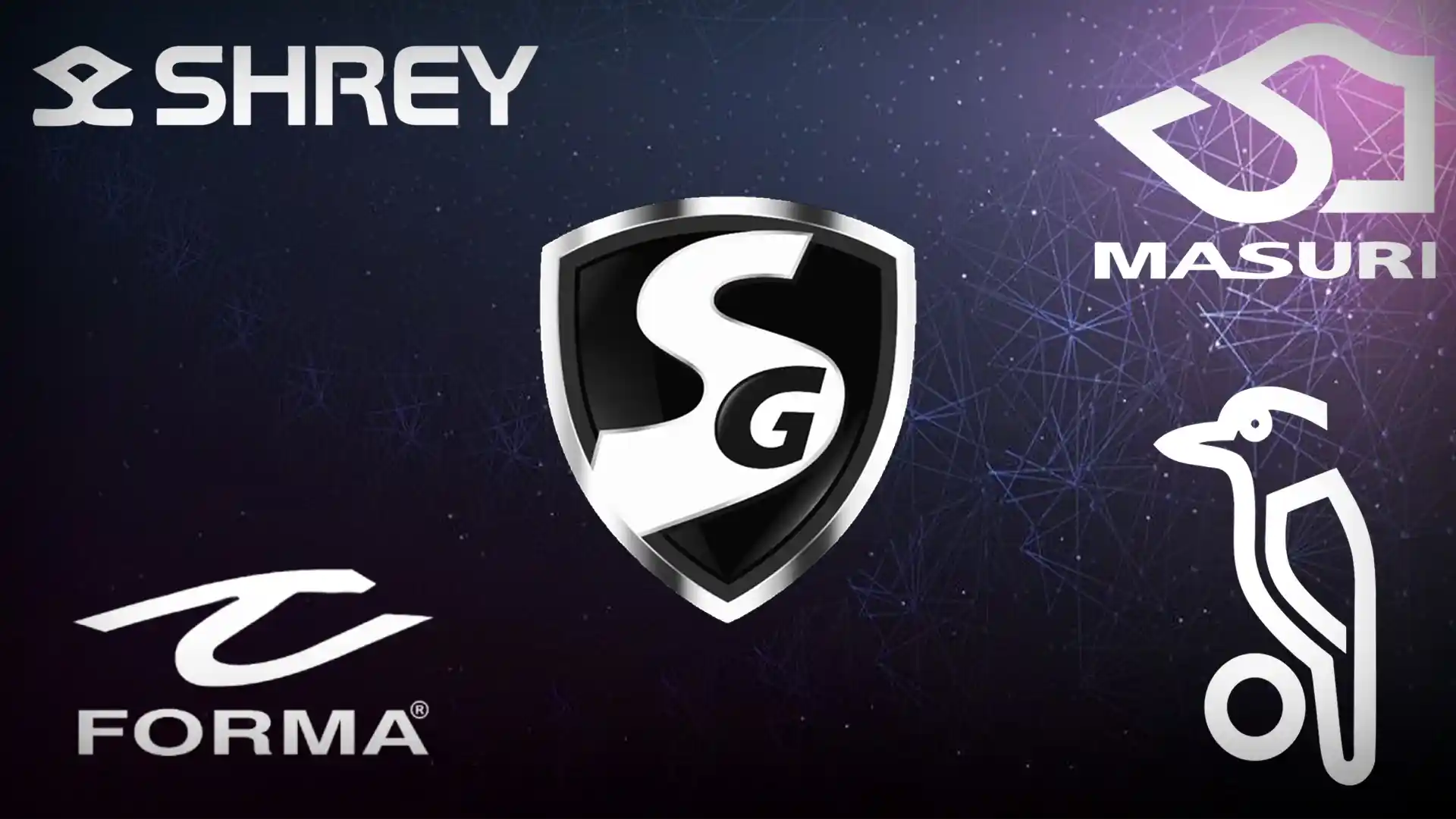 Can You Name the Top 5 Cricket Helmet Brands Recommended by Professionals This Year